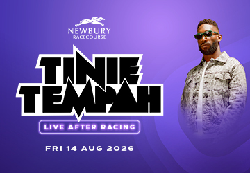 Tinie Tempah Website Graphics4