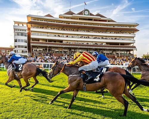 Horse Racing Finishing Line Newbury Racecourse