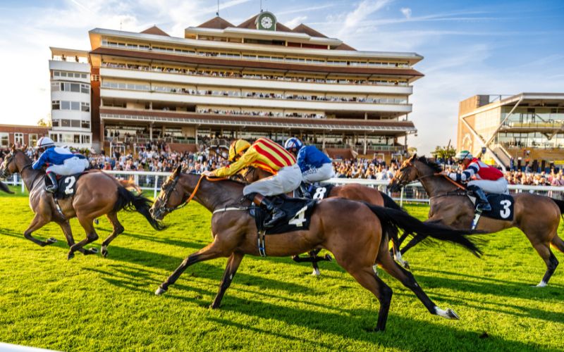 Horses Crossing the Finishing Line At Newbury Racecourse