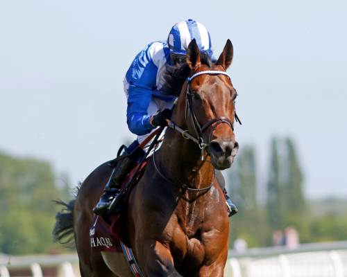 Photographer at Newbury Racecourse