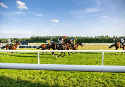 Premier Enclosure Newbury Racecourse