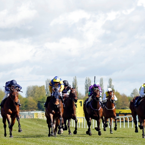 Free Parking at Newbury Racecourse at the Lodge