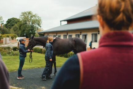 National Racehorse Week