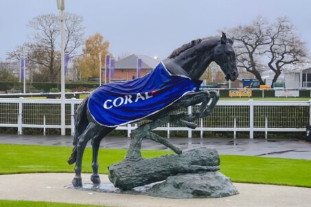 Coral Gallops Morning Newbury Racecourse November 2024