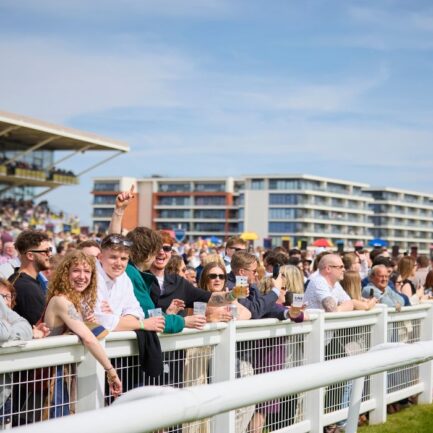 Premier Enclosure Newbury (1)