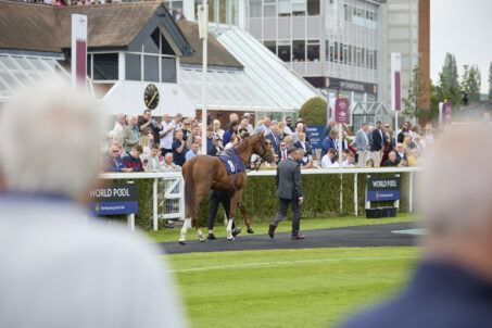 World Pool Returns For Lockinge Day