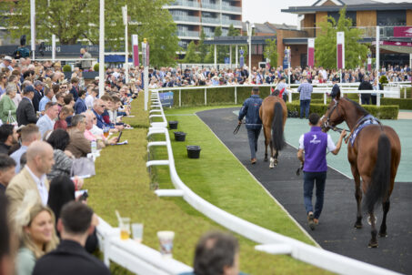 BoyleSports Lockinge Day Guide