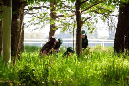 Our Forest School Sessions