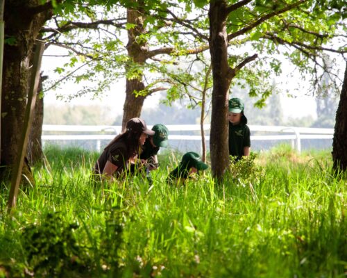 Our Forest School Sessions