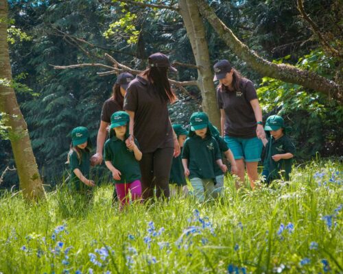 RHN Tree Tangle School (1)