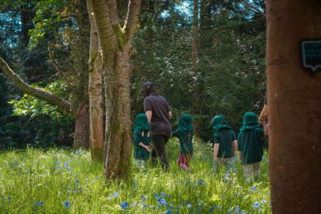 Tree Tangle School Exploring