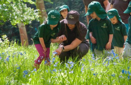 Tree Tangle School RHN Exploring