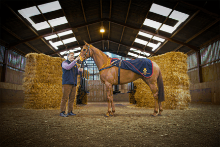 Highclere Castle Gin Is Official Premium Gin Partner Of Newbury Racecourse
