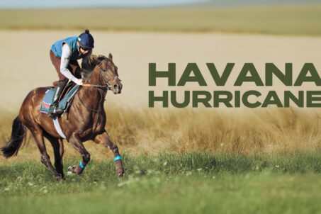 20 Declared For Weatherbys Super Sprint