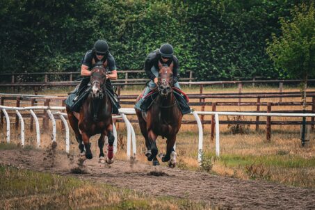 10 Declared For The Visit Malta Hungerford Stakes