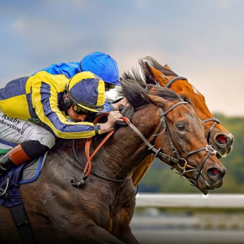 A Bit Of Spirit Newbury Racecourse