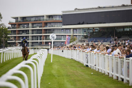 Newbury Visit Malta Hungerford Day