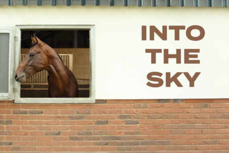 Eight Runners Line Up For Dubai Duty Free Mill Reef Stakes