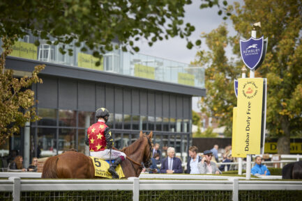 Dubai Duty Free Spring Trials Weekend