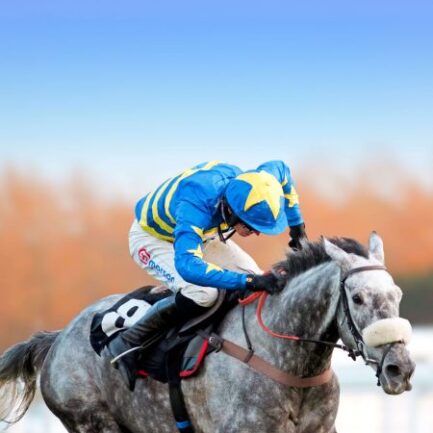 Four Saturdays Pass Newbury Racecourse