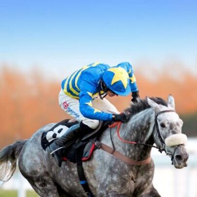 Four Saturdays Pass Newbury Racecourse