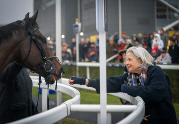Owners Experience Newbury