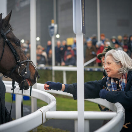 Owners Experience Newbury