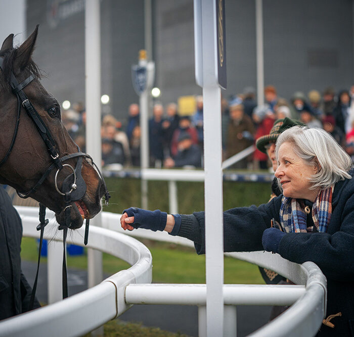 Owners Experience Newbury