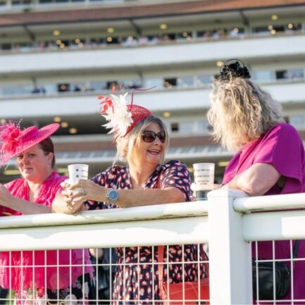 Premier Enclosure Newbury Racecourse (2)