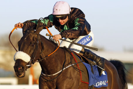 Seven Runners Declared For The Coral Long Distance Hurdle