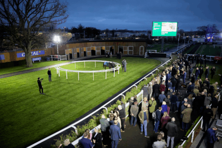 Goffs Boutique Point-To-Point Sale Returns