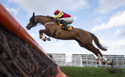 Retired Racehorses To Parade On William Hill Super Saturday