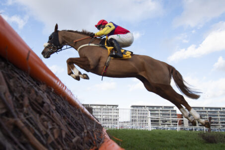 Retired Racehorses To Parade On William Hill Super Saturday