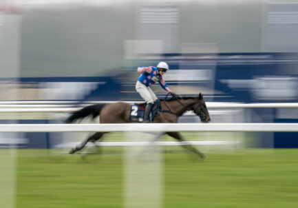 Everything To Expect From William Hill Super Saturday