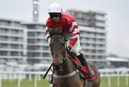 Coneygree Newbury Racecourse