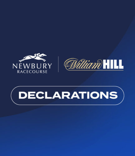 Field Of 16 Head For The William Hill Hurdle