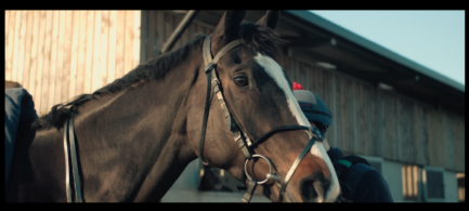 Ben Pauling Betty's Daisy