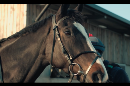 Ben Pauling Betty's Daisy