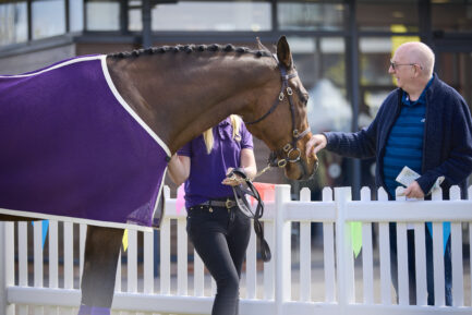 Greatwood Partnership Continues Into 2026