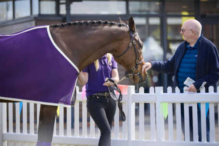 Greatwood Partnership Continues Into 2026