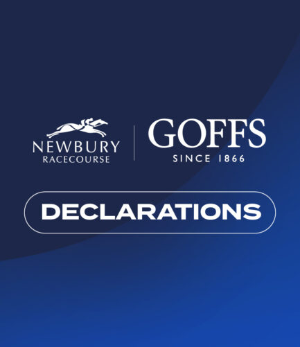 20 Confirmed Runners For 2026 Goffs Hundred Grand Bumper