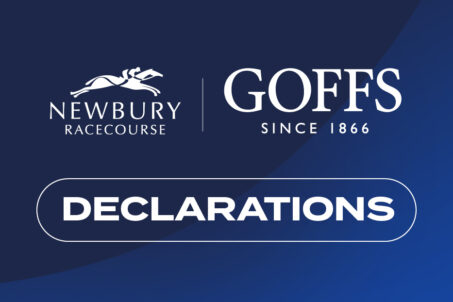 20 Confirmed Runners For 2026 Goffs Hundred Grand Bumper