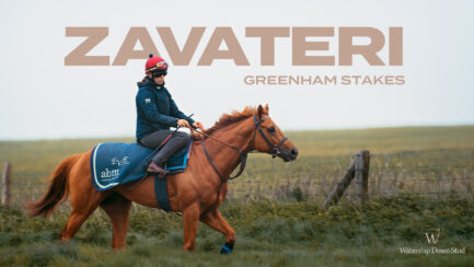 Eight Runners Are Declared For The 2026 Greenham Stakes