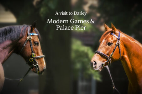 Behind-the-scenes With Darley