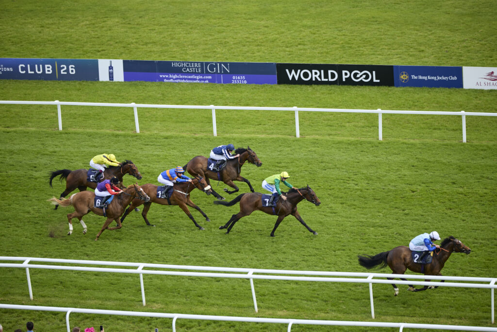 World Pool Returns For BOYLE Sports Lockinge Day