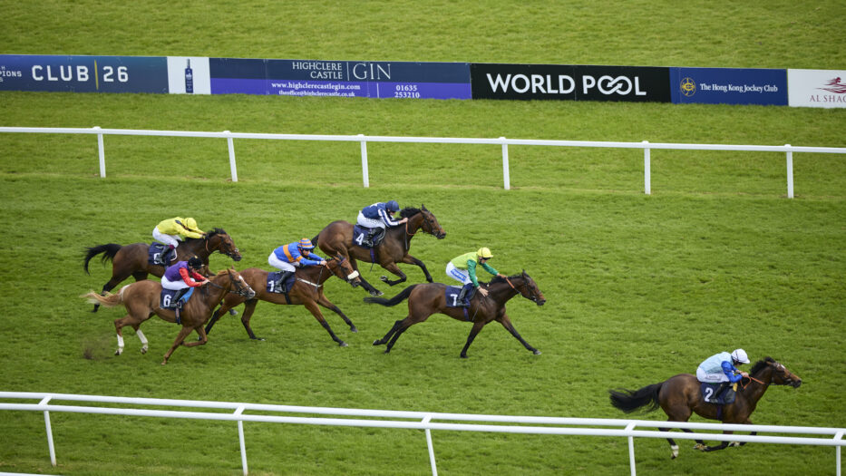 World Pool Returns For BOYLE Sports Lockinge Day