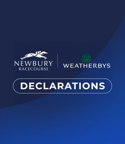 27 Runners Declared For Weatherbys Super Sprint