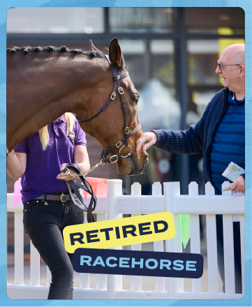 Retired Racehorse