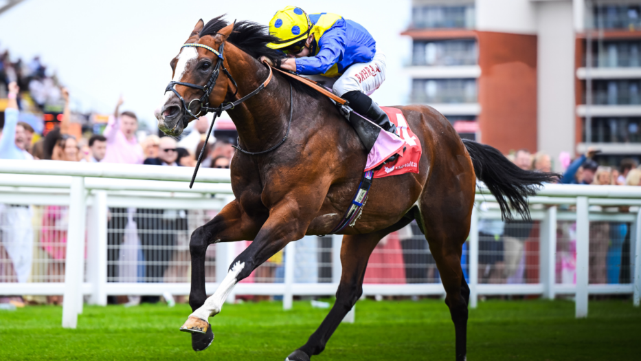 Jockeys To Go Head-To-Head For Dream Holiday