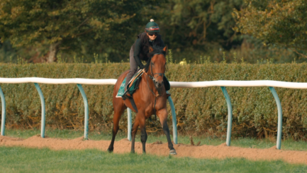 Eight Declared For Dubai Duty Free Mill Reef Stakes